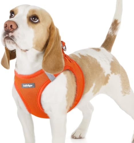 rabbitgoo Step-in Small Dog Harness, Puppy Vest for Small Sized Pet by rabbitgoo