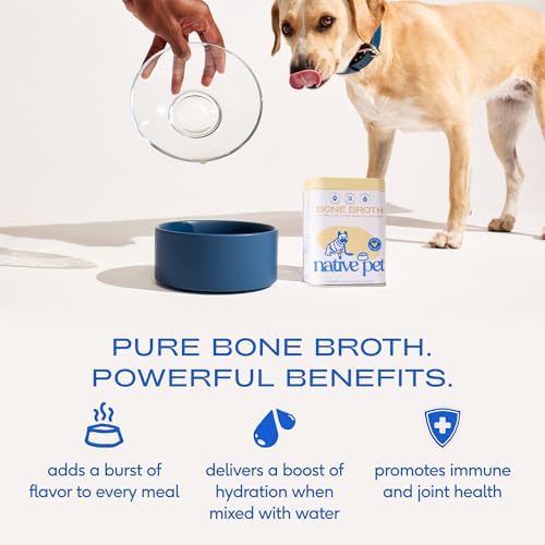 Native Pet Bone Broth for Dogs and Cats - Chicken Bone Broth Powder Dog Food Toppers for Picky Eaters - Provides Extra Nutrition for Joint Strength, Immune Support & Heart Health - 48 Scoops - Image 2