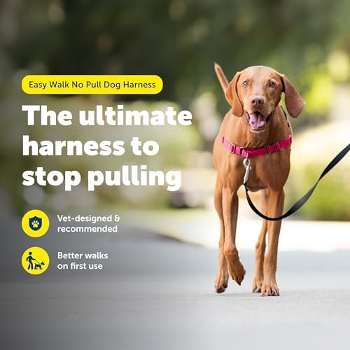 PetSafe Easy Walk Harness for Dogs - Pull-Free Walks - Patented Martingale Loop Design - Front Chest Leash Attachment - Comfort Straps - Breathable Harness Design - Medium, Red/Black - Image 2