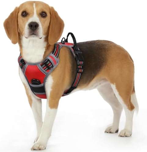 Eagloo Dog Harness for Small Dogs, No Pull Pet Vest with 2 Leash Clips by GoExplorewithEagloo