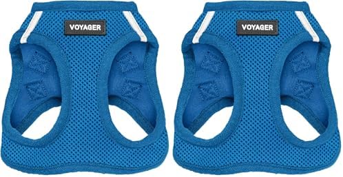 Best Pet Supplies Voyager Step-in Air Harness - All Weather Mesh, Reflective, No Pull Harness for Dogs, Cats - Secure with Hook & Loop Fastener, Buckle, Double D-Rings - Royal Blue, XS (Pack of 2) by BestPetSuppliesLLC