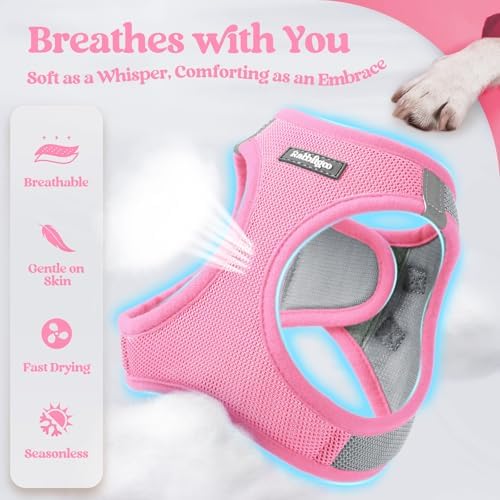 rabbitgoo Dog Harness Medium Sized and Leash Set, Step-in Puppy Pet Vest - Image 3