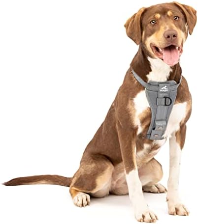 Kurgo Enhanced Strength Tru-Fit Smart Harness, Charcoal, Medium by Kurgo