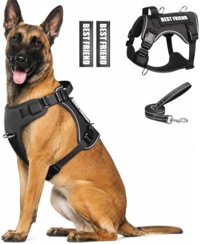 WINSEE No Pull Tactical Dog Harness with Leash Set with 2 Patches by WINSEE