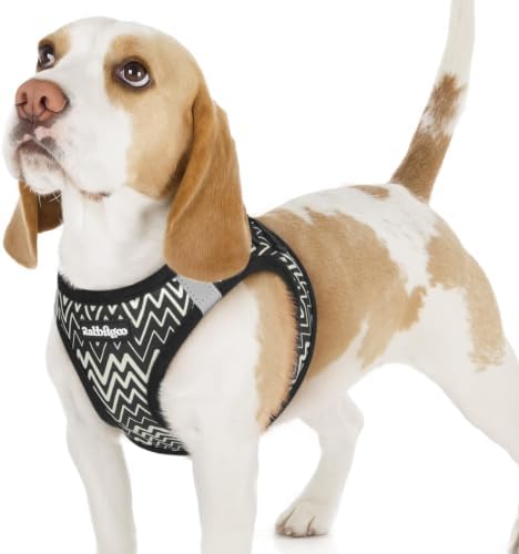 rabbitgoo Step-in Small Dog Harness, Puppy Vest for Small Sized Pet by rabbitgoo