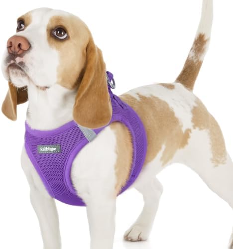 rabbitgoo Step-in Small Dog Harness, Puppy Vest for Small Sized Pet by rabbitgoo