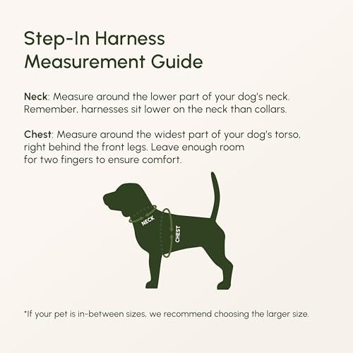 Downtown Pet Supply Step-In Dog Harness for Large Dogs - Adjustable, Escape-Proof Dog Harness with Reflective Trim - All-Weather, Fast-Drying Padded Mesh Fabric - Tangerine - Image 2