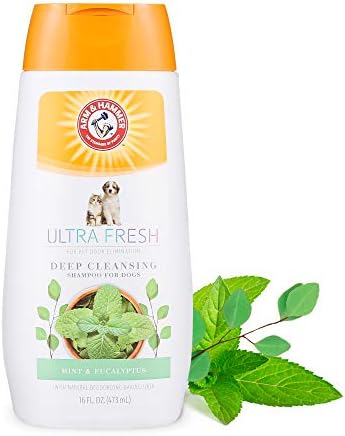 Arm & Hammer Ultra Fresh Deep Cleansing Dog Shampoo, Charcoal, 16 Oz by ArmHammer