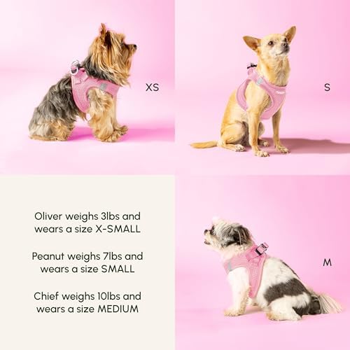 Downtown Pet Supply Step-In Dog Harness for Large Dogs - Adjustable, Escape-Proof Dog Harness with Reflective Trim - All-Weather, Fast-Drying Padded Mesh Fabric - Tangerine - Image 3