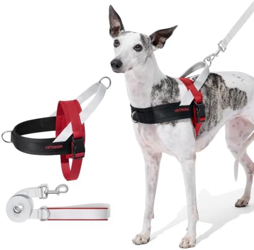 VETRESKA Dog Harness and Leash Set, Easy Walk Dog Harness, M by VETRESKA