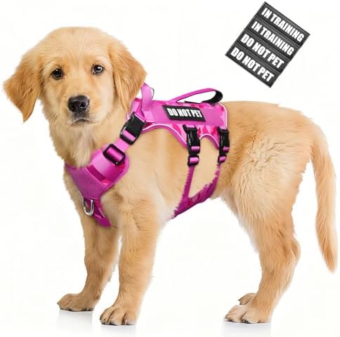 WINSEE Escape Proof Dog Harness with Double Handle+4 Removable Patches by WINSEE