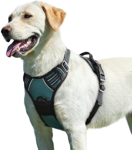 Eagloo Dog Harness for Large Dogs, No Pull Pet Vest with 2 Leash Clips by GoExplorewithEagloo