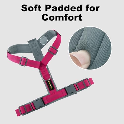 Plutus Pet No Pull Dog Harness, Adjustable Nylon Harness with Soft Padding - Image 3
