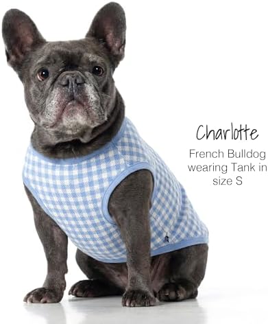 Pet Passion Tank Dog T-Shirt, Sleeveless, 3 Pack, Blue Check, Small - Image 4