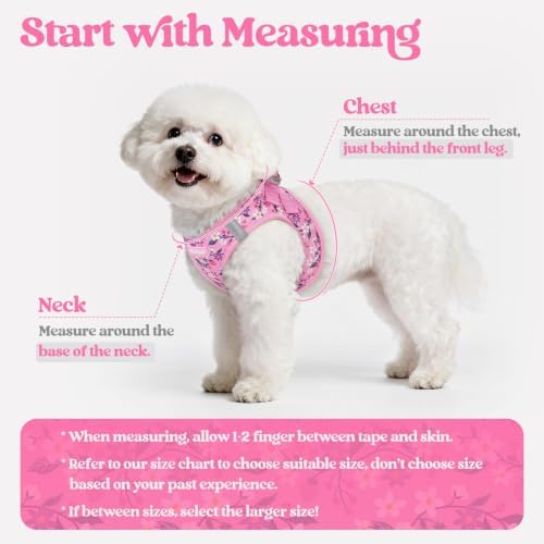 rabbitgoo Dog Harness Small Sized and Leash Set, Step-in Puppy Pet Vest - Image 2