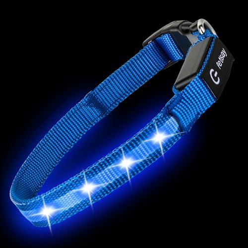 Super Bright LED Dog Collar, Waterproof Light up Collars(Blue, X-Small) - Image 3