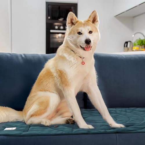 Lightly Padded Roll-Up Travel Dog Mat Settle & Place Training - Image 4