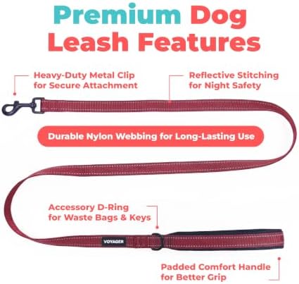 Best Pet Supplies Voyager Nylon Dog Leash - Burgundy, Small - Image 2