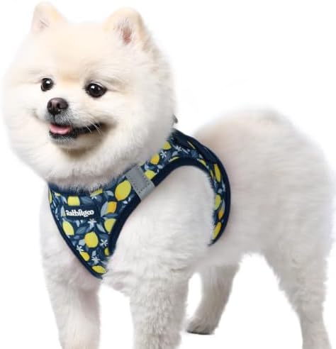 rabbitgoo Step-in Small Dog Harness, Puppy Vest for Small Sized Pet by rabbitgoo