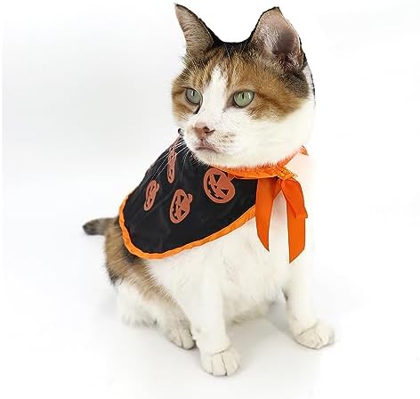 Pet Halloween Pumpkin Cloak Cosplay Cloak for Cat and Small Dogs, Pet Halloween Costume Clothes Suit - Image 5