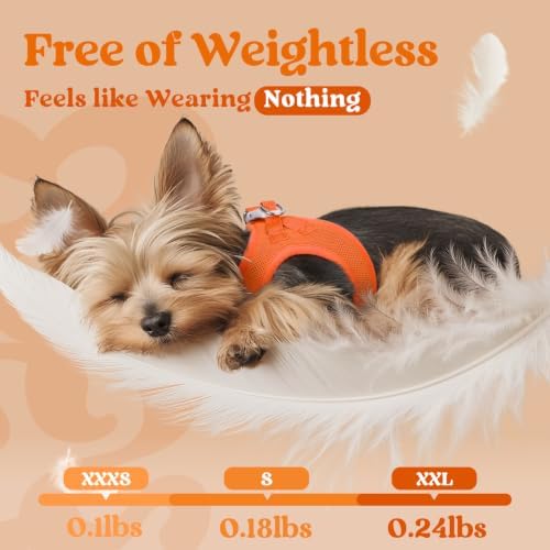 rabbitgoo Step-in Small Dog Harness, Puppy Vest for Small Medium Sized Pet - Image 4