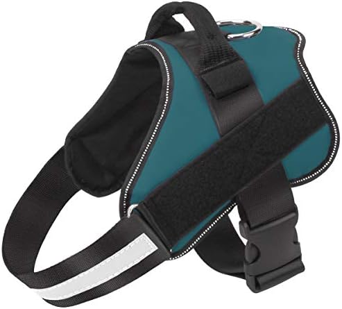 Bolux Dog Harness, No-Pull Reflective Dog Vest, Breathable Adjustable Pet Harness with Handle for Outdoor Walking - No More Pulling, Tugging or Choking (Turquoise, S) by Bolux