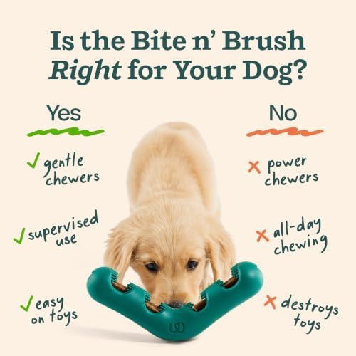 WOOF Bite n' Brush Dog Dental Chew Toy for Small Dogs 10-25 lbs - Image 4