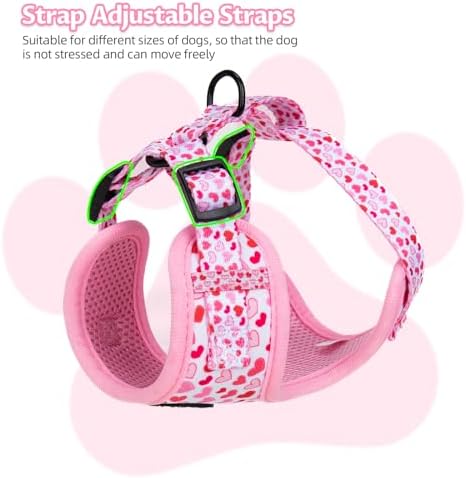 Dog Harness and Leash Set, Adjustable Dog Harness, Dog Leash, No Pull No Choke Puppy Harnesses for Walking Training for Small, Medium Pet (Little Love, XS(Chest 11-13", Neck 9-11")) - Image 2