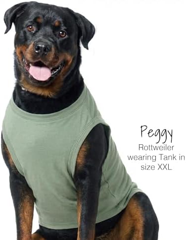 Pet Passion Tank Dog T-Shirt, Sleeveless, 3 Pack, Sage Ombre, X-Large - Image 4