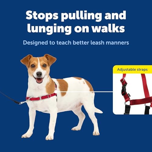 PetSafe Easy Walk Harness, No Pull Dog Harness, Red, Small - Image 3