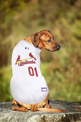 Official MLB St. Louis Cardinals Pet Jersey for Dogs & Cats, Size X-Large - Stylish Baseball Jersey for Your Furry Fan- Show Off Team Spirit with The Perfect Fan Apparel Gear for Pet, Dog & Cat - Image 2