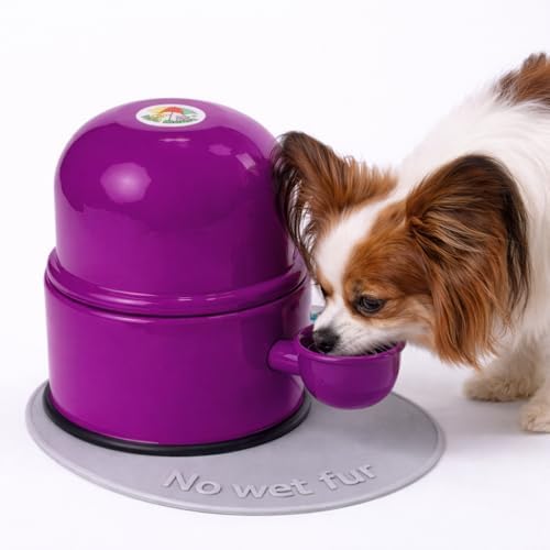 Pet Water Dispenser for Dogs and Cats, 47.3 oz – Gravity-Fed Aluminum Water Bowl, Prevents Wet Fur, Provides Continuous Fresh Water, Electrostatic Coated Finish, Vida Mansa (Violet) by VidaMansa