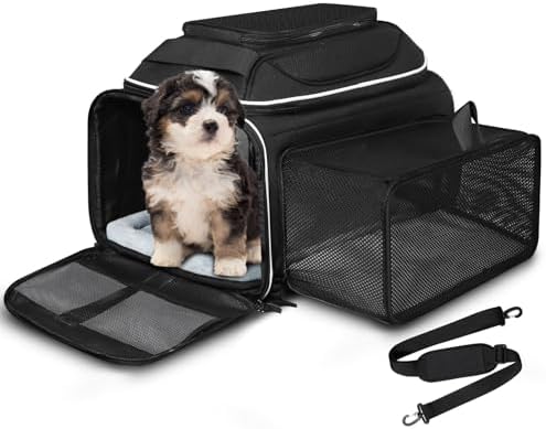 Petskd Top and Side Expandable Small Pet Carrier Airline Approved, Black by Petskd