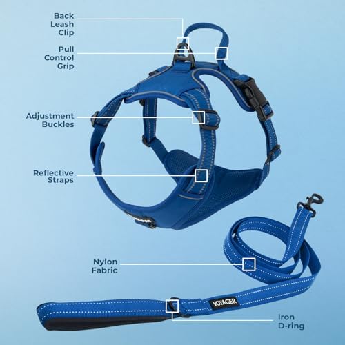 Voyager Dog Harness Dual Leash Attachment No-Pull Control Adjustable Soft but Strong Pet Harness for Medium and Large Dogs with 3M Reflective Technology, Leash Set Royal Nylon, XS (Chest: 13-16") - Image 3