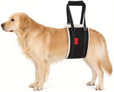 Dog Lift Harness - Cover Geny Adjustable Sling for Rear Legs with Soft Support for Senior, Injured, Disabled Dogs After ACL Surgery - Helping Pets with Canine Aid and Rehab Support (XL) by CoverGeny