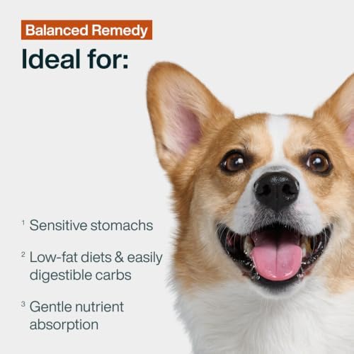 JustFoodForDogs Pantry Fresh Wet Dog Food, Complete Meal or Dog Food Topper, for Sensitive Stomachs, Balanced Remedy Human Grade Dog Food Recipe - 12.5 oz (Pack of 12) - Image 3