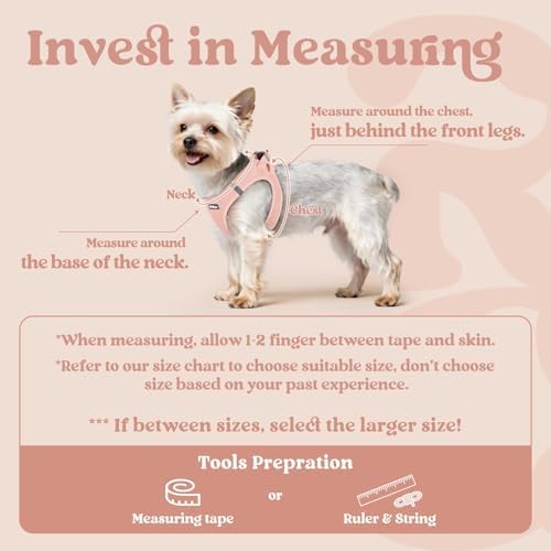 rabbitgoo Step-in Small Dog Harness, Puppy Vest for Medium Sized Pet - Image 2