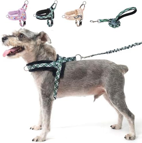 BEAUTYZOO No Pull Small Dog Harness and Leash Set, Soft Puppy Vest Harness with Handle Escape Proof & Easy Walk, Lightweight Dog Winter Harness Chest Adjustable for Girl Boy Dogs 22-33 lbs, Green M by BEAUTYZOO