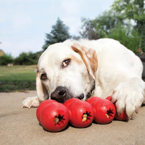 KONG Goodie Ribbon, Stuffable Natural Rubber Dog Toy, for Medium Dogs - Image 4