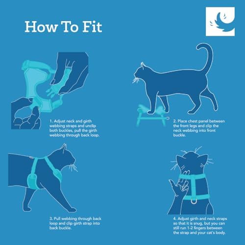RC Pets Adventure Kitty Cat Harness | Adjustable Airmesh Vest with D-Ring and 6ft Leash for Walking and Travel | Lil Heart, Medium - Image 4