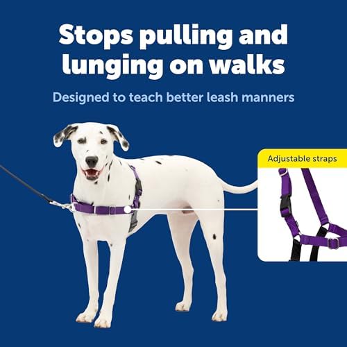 PetSafe Easy Walk Comfort No Pull Dog Harness, Blue, Medium - Image 3