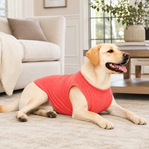 Pet Clothes Dog Clothing Blank T-Shirt Tanks Top Vests for Small Middle Large Size Dogs 100% Cotton Dog Summer Vest Classic (XL, Lobster Pink) - Image 4