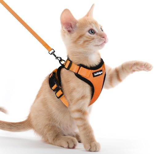 rabbitgoo Cat Harness and Leash Set, Escape Proof Vest, Orange by rabbitgoo