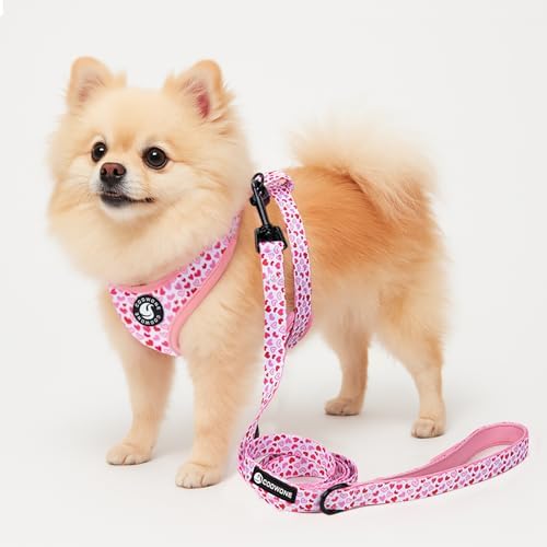 Dog Harness and Leash Set, Adjustable Dog Harness, Dog Leash, No Pull No Choke Puppy Harnesses for Walking Training for Small, Medium Pet (Little Love, M(Chest 17.7-23.1", Neck 13.4-16.4")) - Image 6