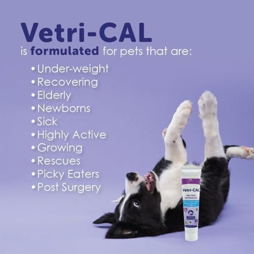 High Calorie Nutritional Gel for Dogs & Cats (2 Pack) - Image 2