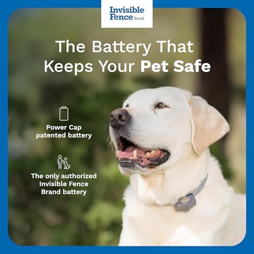 Invisible Fence Brand Power Cap Battery, 2-Pack - Image 2