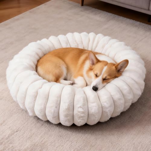 Donut Small Medium Dog Bed Washable Kitty & Puppy Bed,23in White by VhenWhen