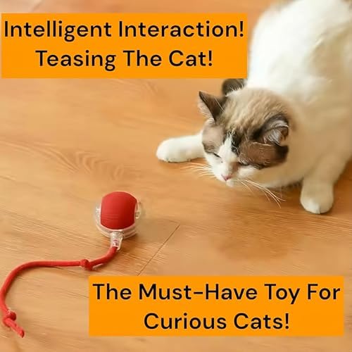 Durable Interactive Cat Toys for Indoor Cats, Dog Toys Ball, Rolling Pet Ball, Smart Automatic Cat Chase Balls Toy, Interactive Dog Toys Speedy Tail,Kitten & Cat Toys Interactive (Pink) - Image 4