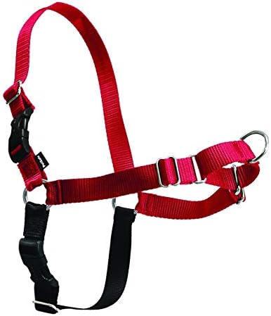 PetSafe Easy Walk Harness Small/Medium Red/Black for Dogs - Image 2