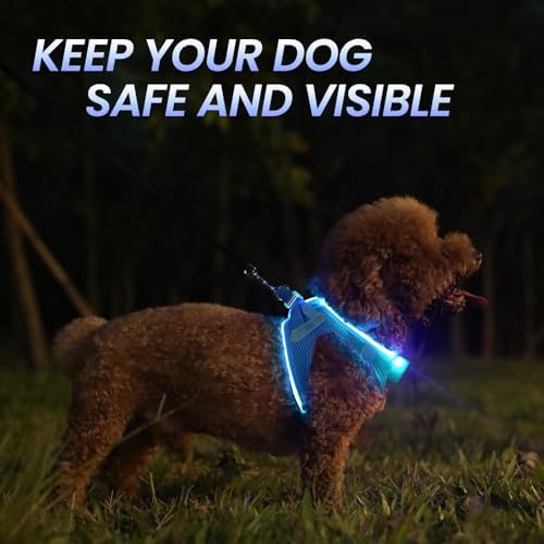 PcEoTllar Light Up Dog Harness, for Night Walking, Adjustable, Blue, L - Image 3